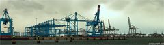 AMP Container Terminal  / Teilaufnahme / Maasvlakte II / Rotterdam Bitte scrollen!