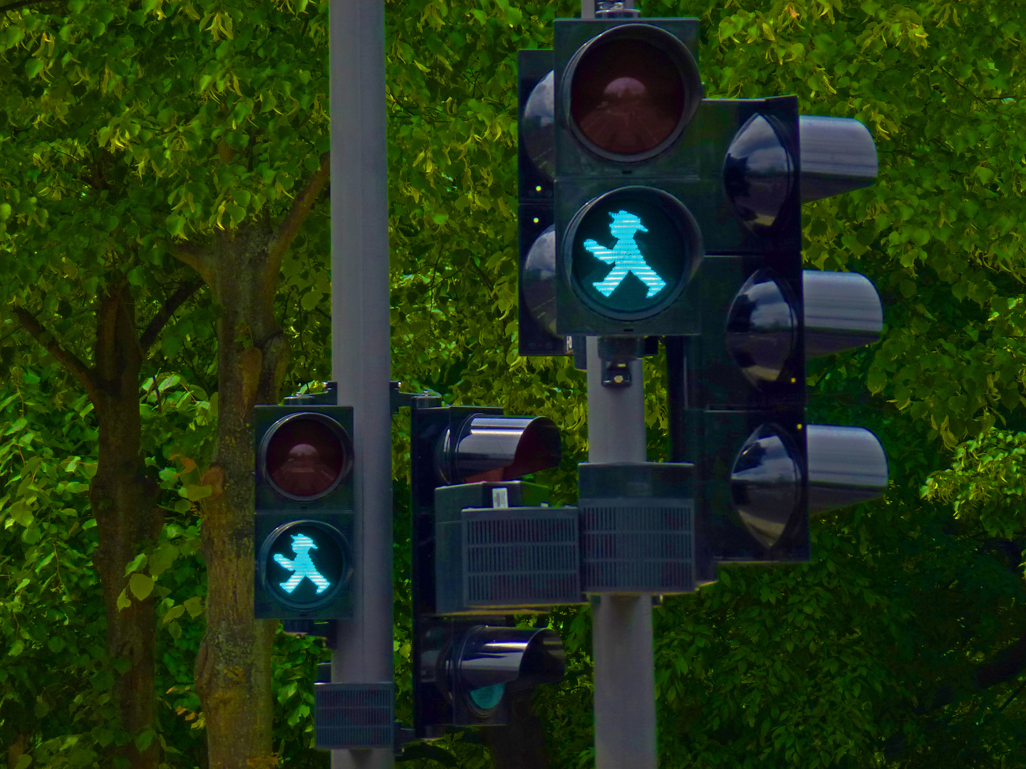 Ampelmännchen geben den Weg frei, ab ins Grüne !