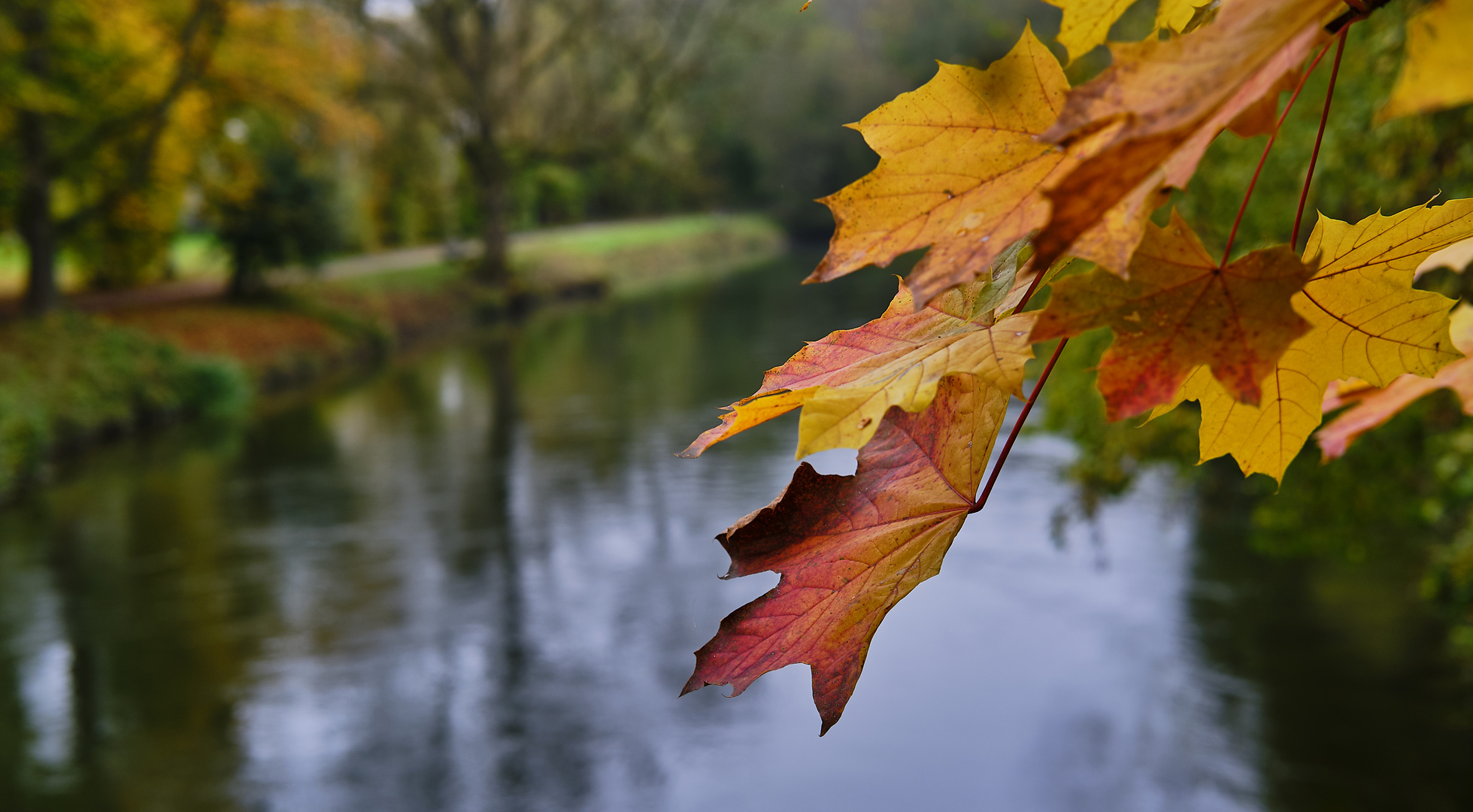 Amperkanal in Olching