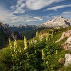 Ampezzaner Dolomiten