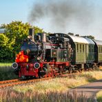 Ampflwang auf Teddybärenfahrt