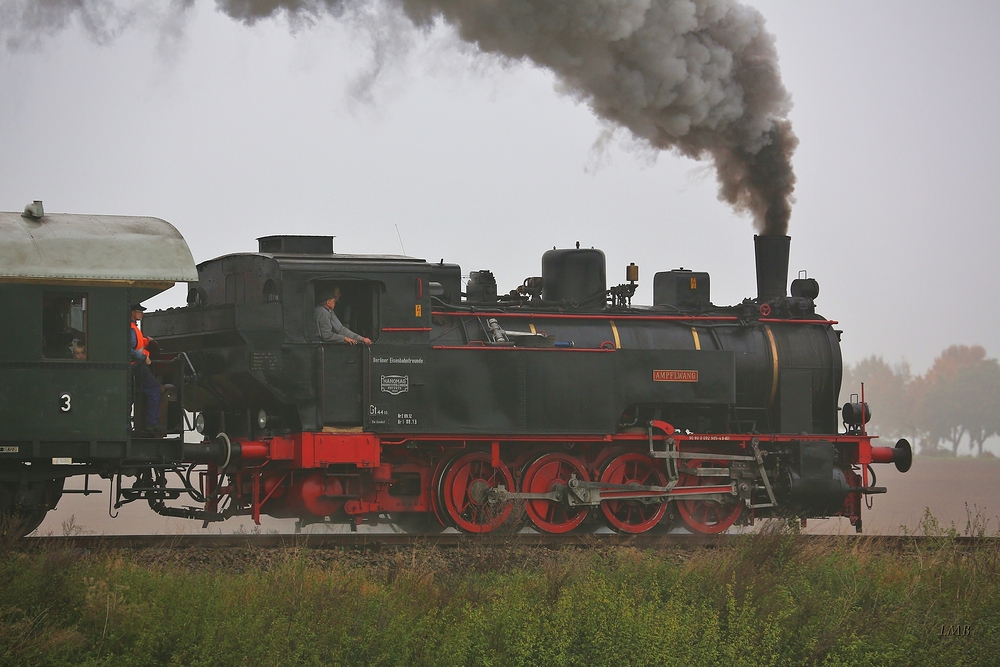 AMPFLWANG im Herbstnebel