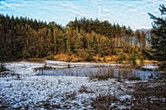 Amphibienweiher bei Homburg