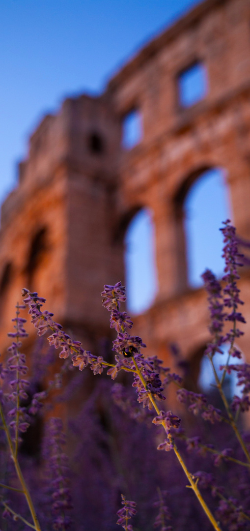 Amphitheater Pula