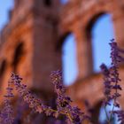 Amphitheater Pula