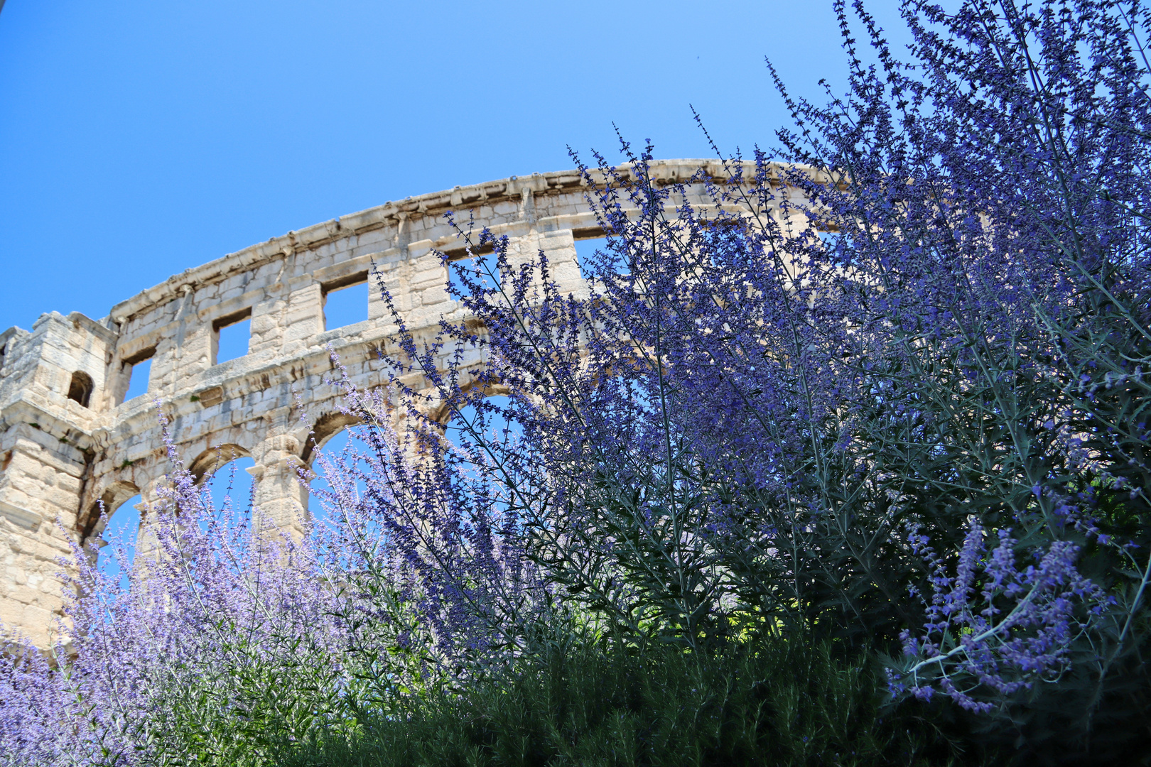 Amphitheater Pula im Sommer