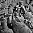 Amphoras