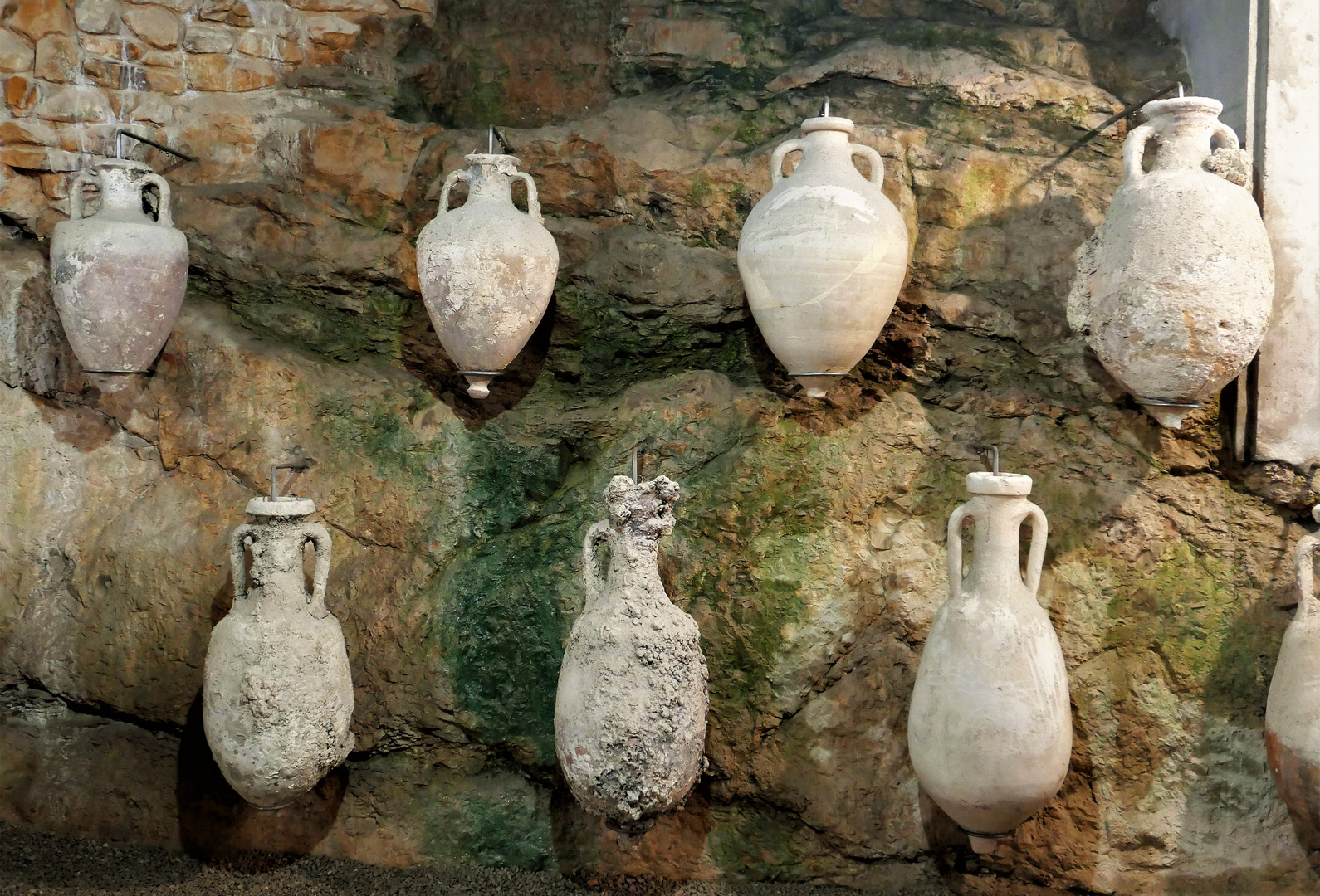 Amphoras display