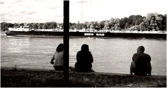 am°Rhein 1/2