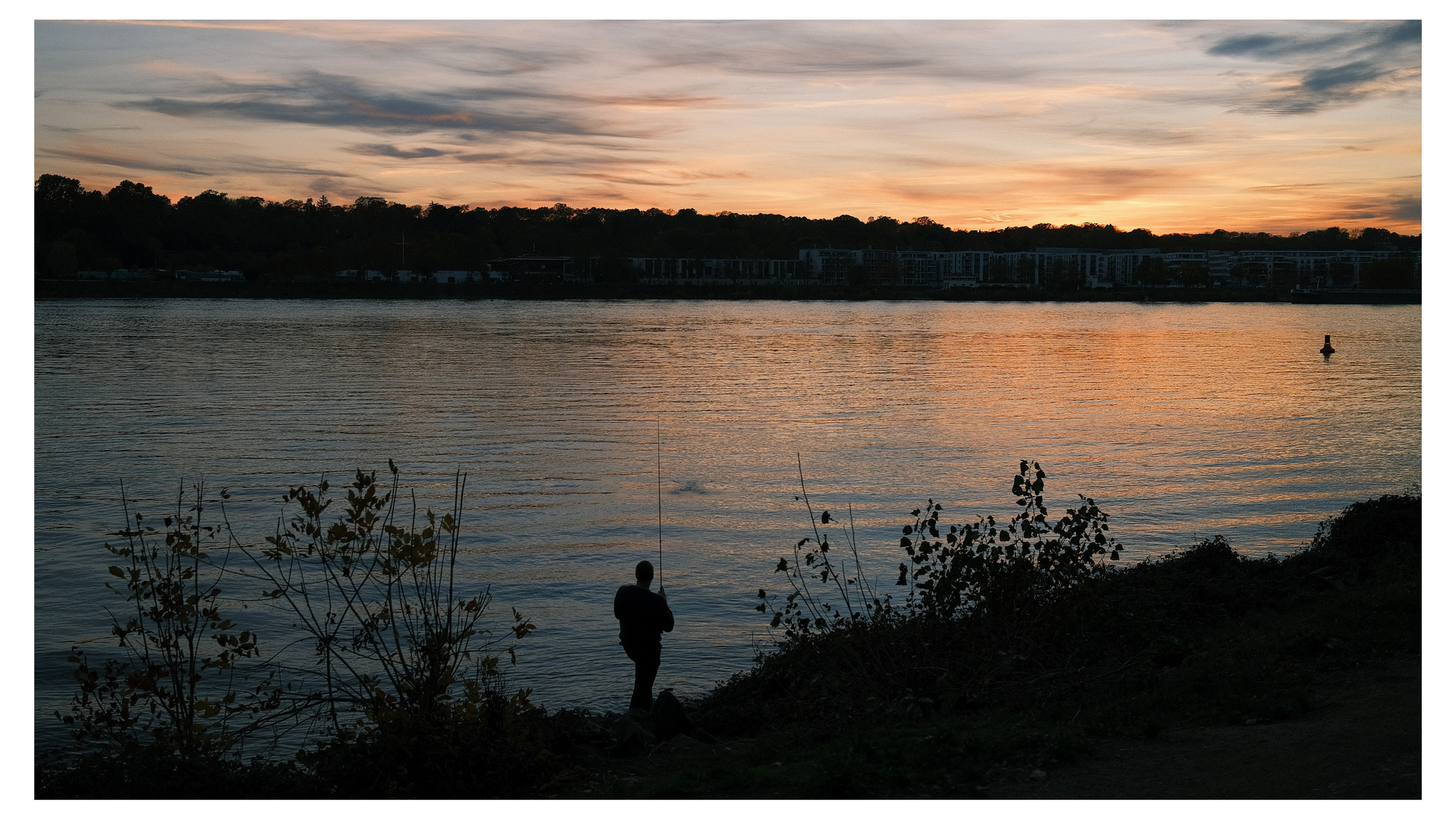 am.Rhein