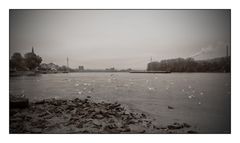 am.Rhein