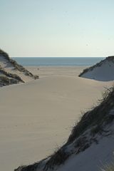 Amrum