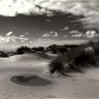 Amrum 11