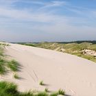 Amrum