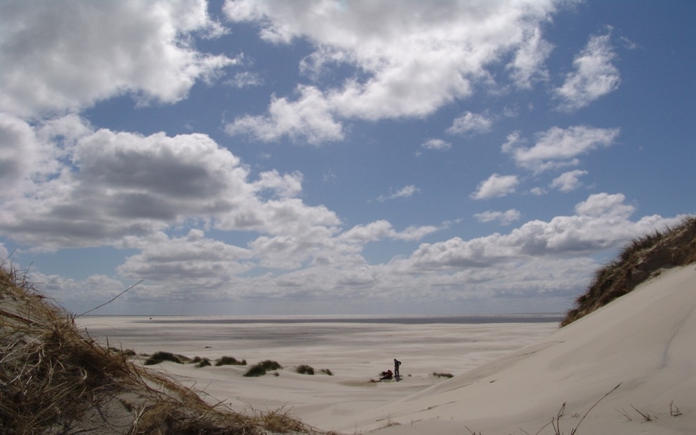 Amrum