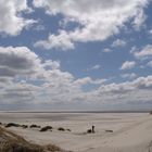 Amrum