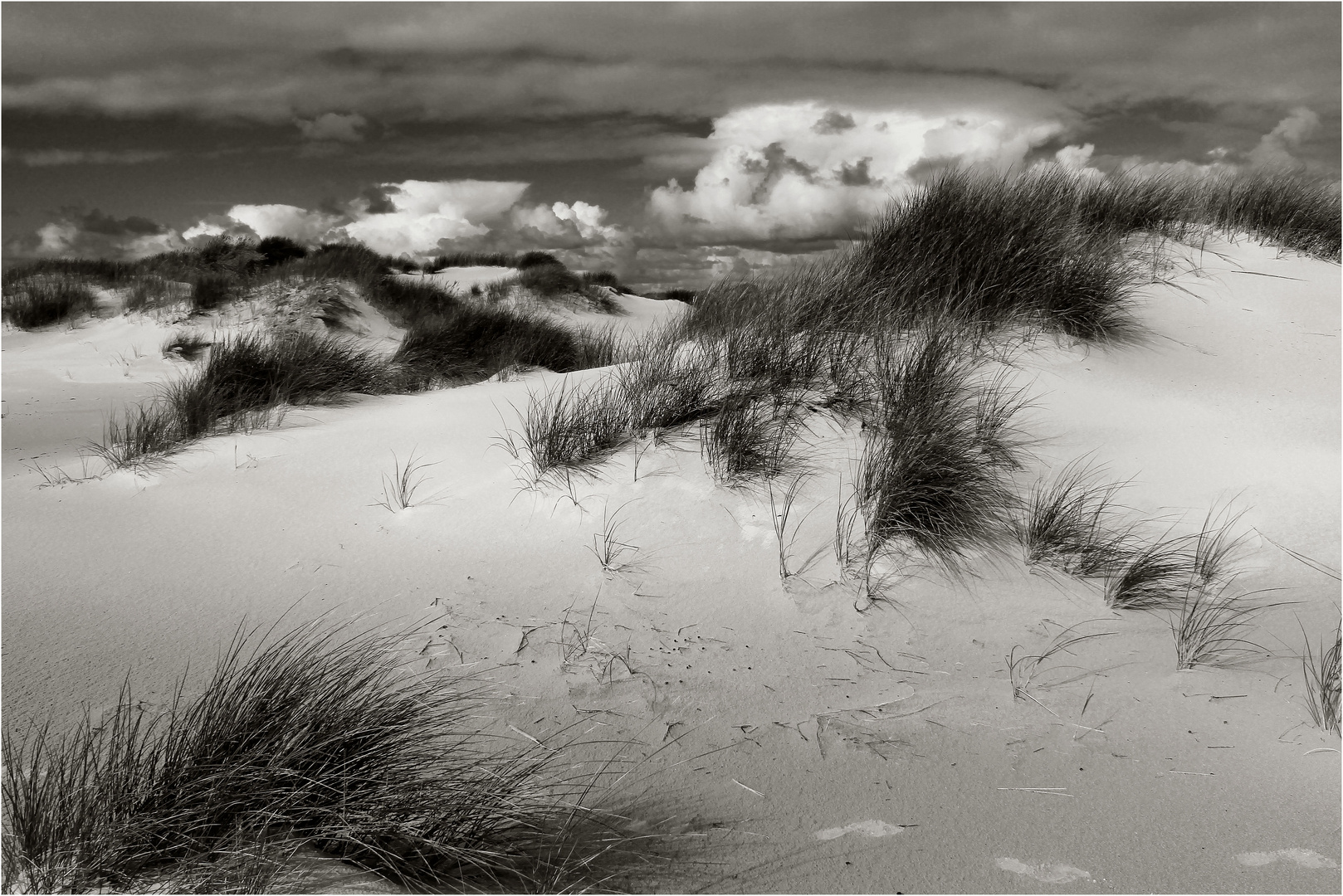 Amrum 17