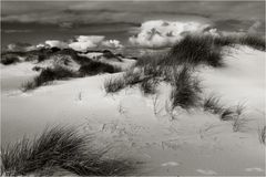 Amrum 17