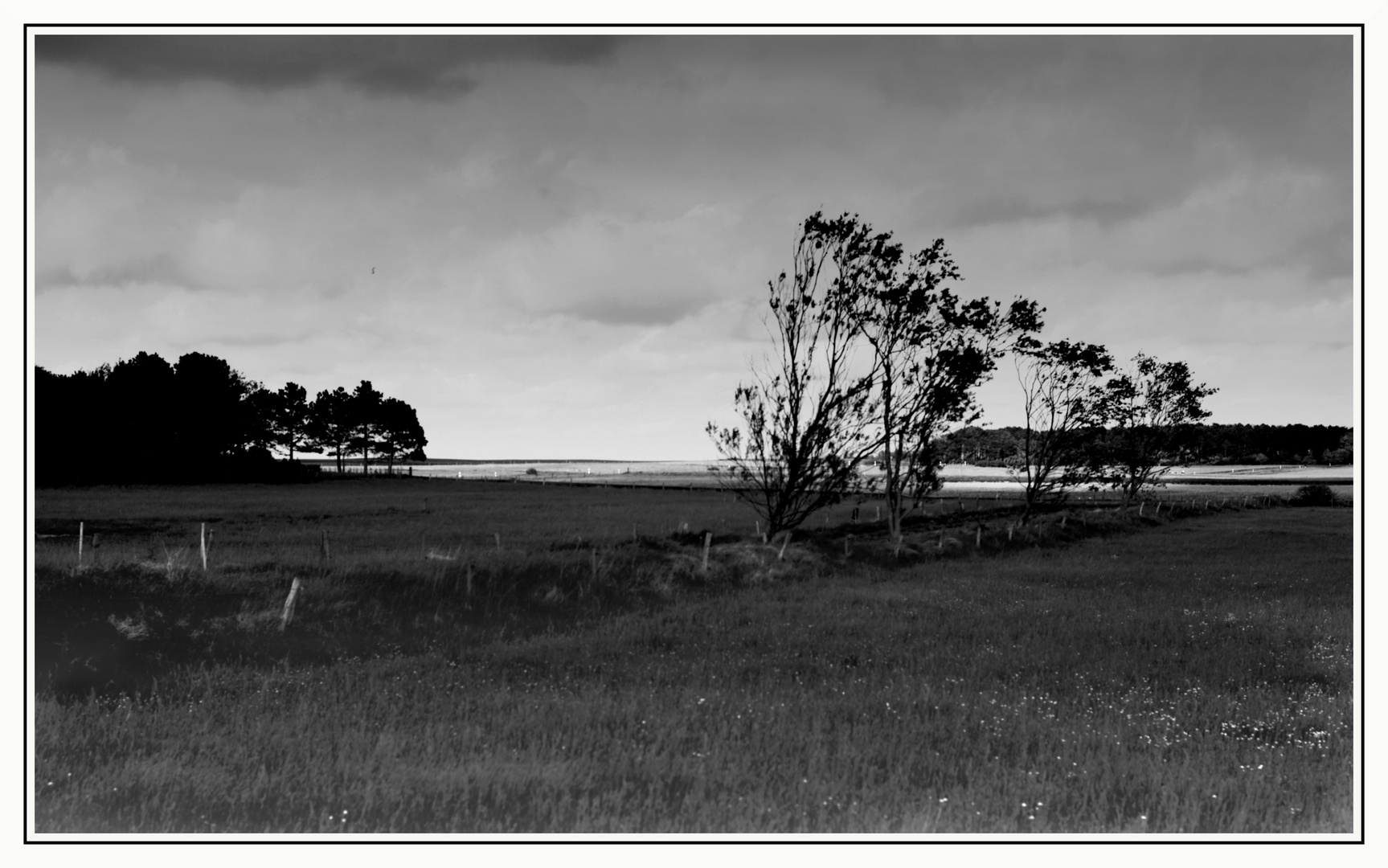 amrum