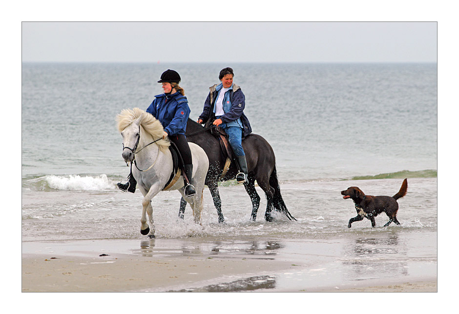 Amrum 2004 - Strandleben