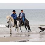 Amrum 2004 - Strandleben