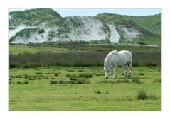 Amrum 2007 - Day.10