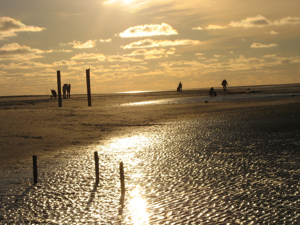 Amrum 2007 Jannuar