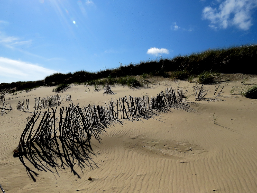 Amrum 2015/5