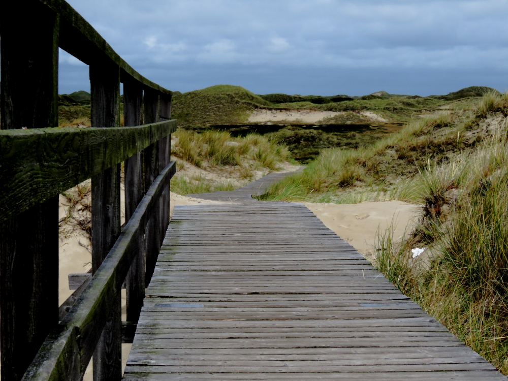 Amrum 2015/9