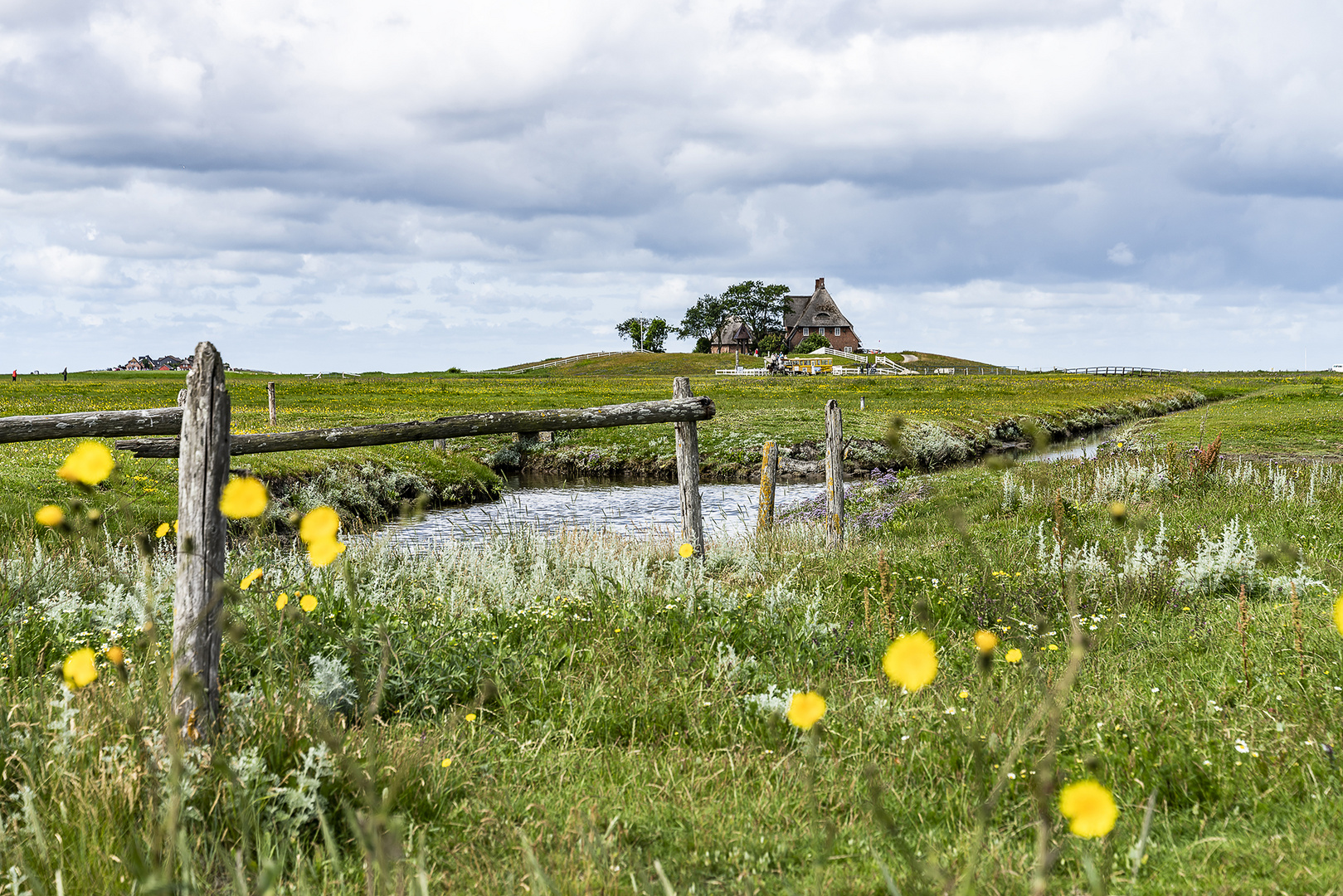 Amrum 2022-3959 Kopie