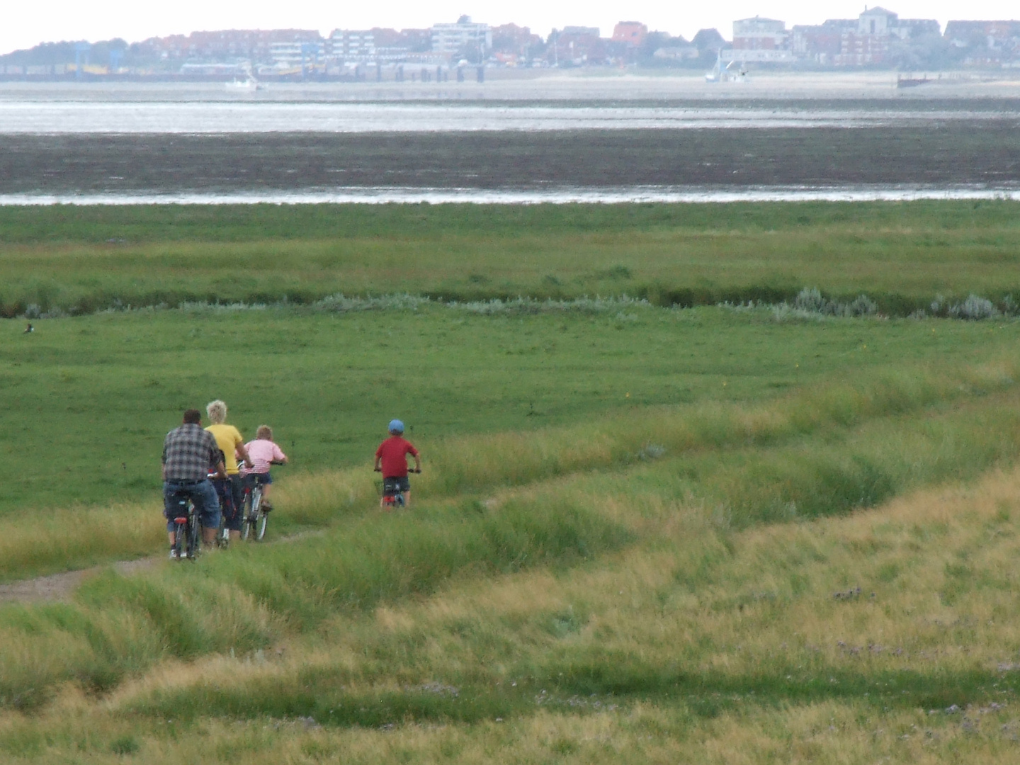 Amrum