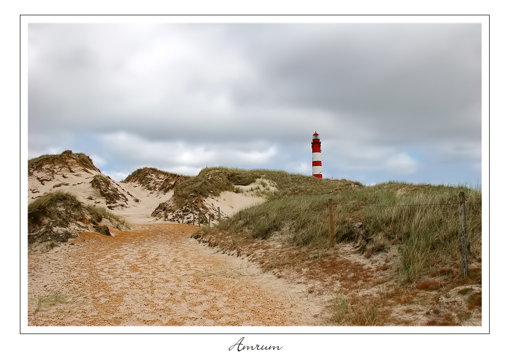 Amrum