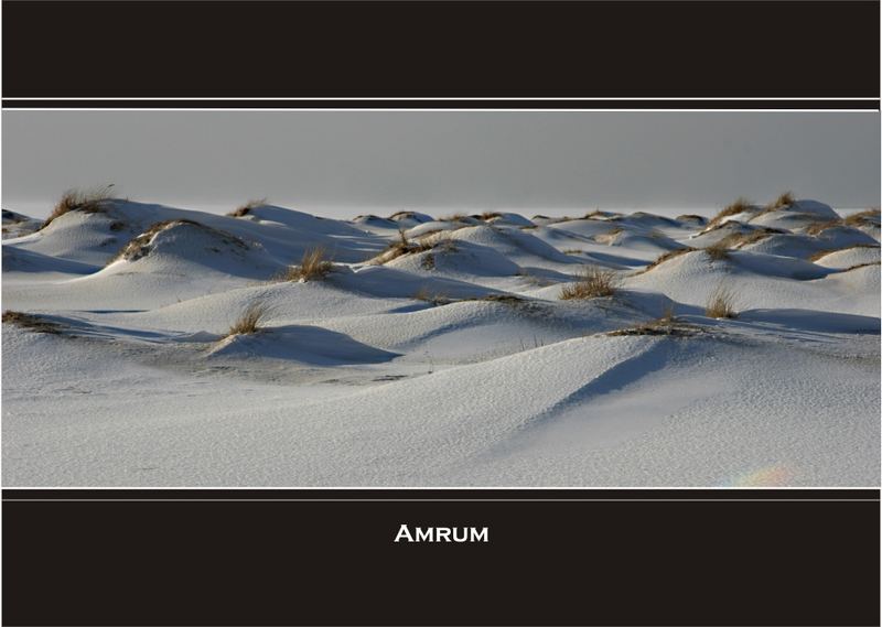 Amrum