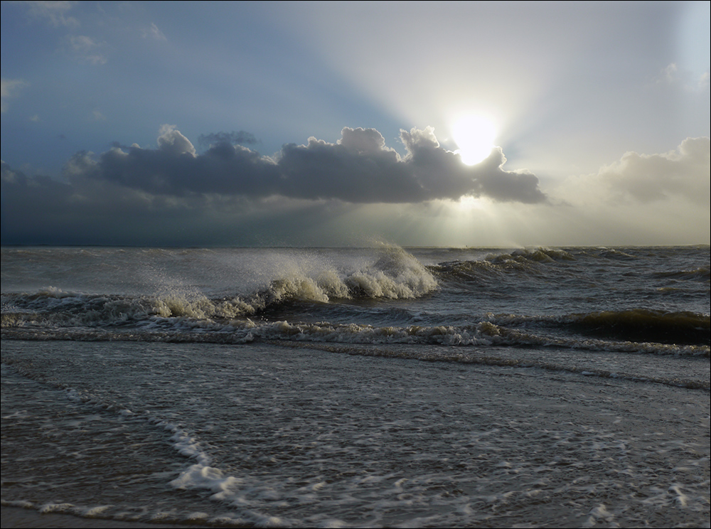 Amrum 3