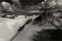 Amrum 3