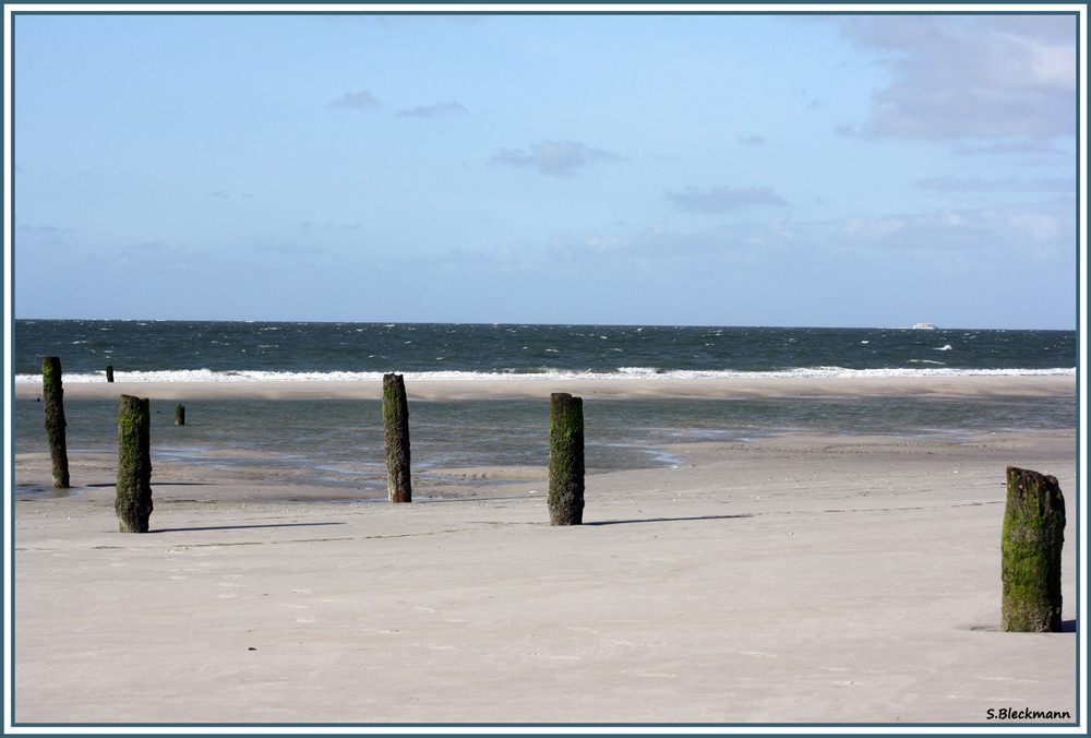 Amrum