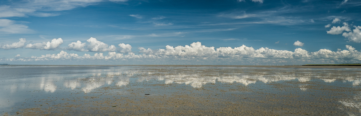 Amrum (4)