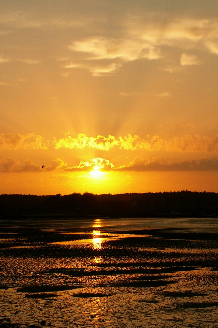 Amrum ....