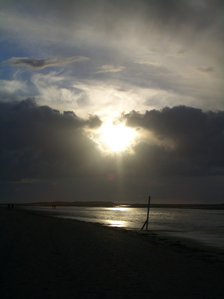 Amrum