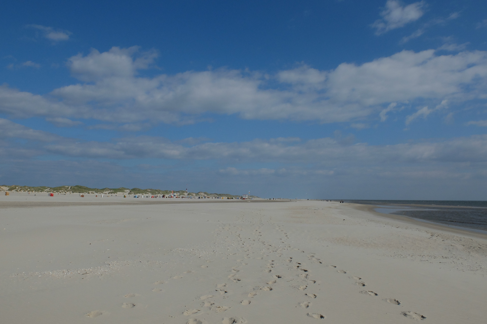 Amrum