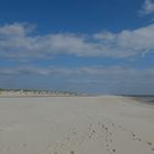 Amrum