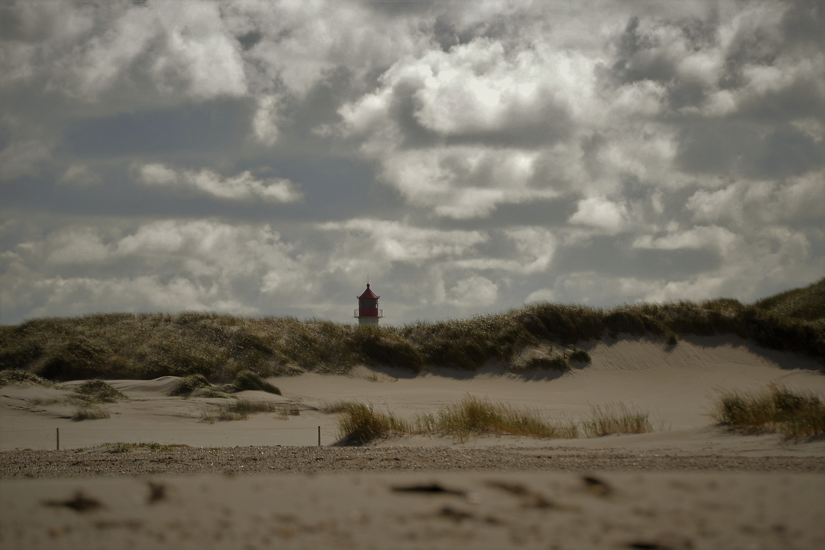 Amrum