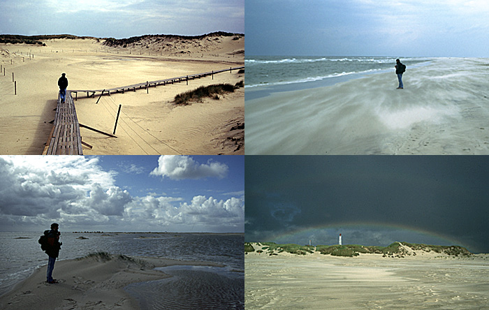 amrum