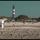 Amrum