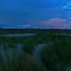 Amrum 6