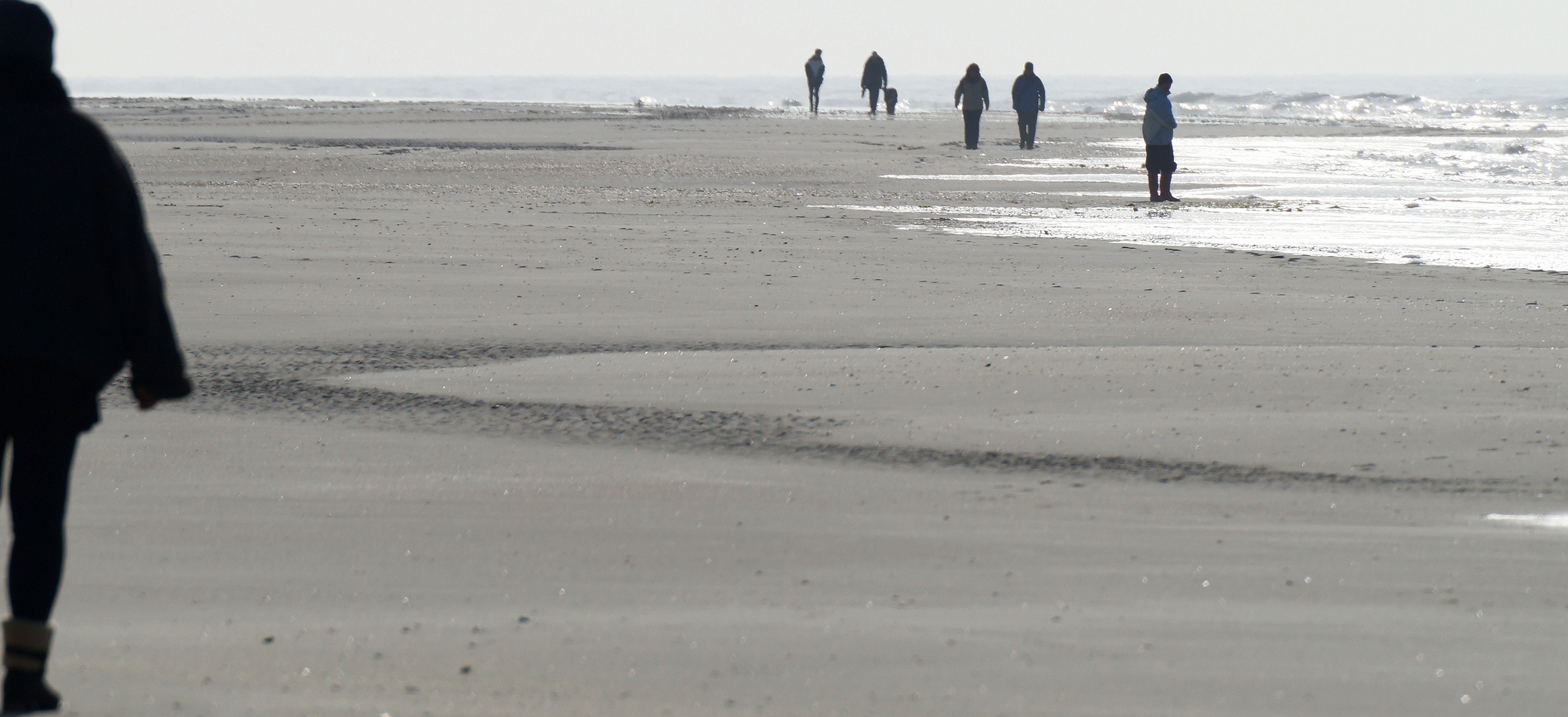 Amrum 6