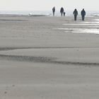 Amrum 6