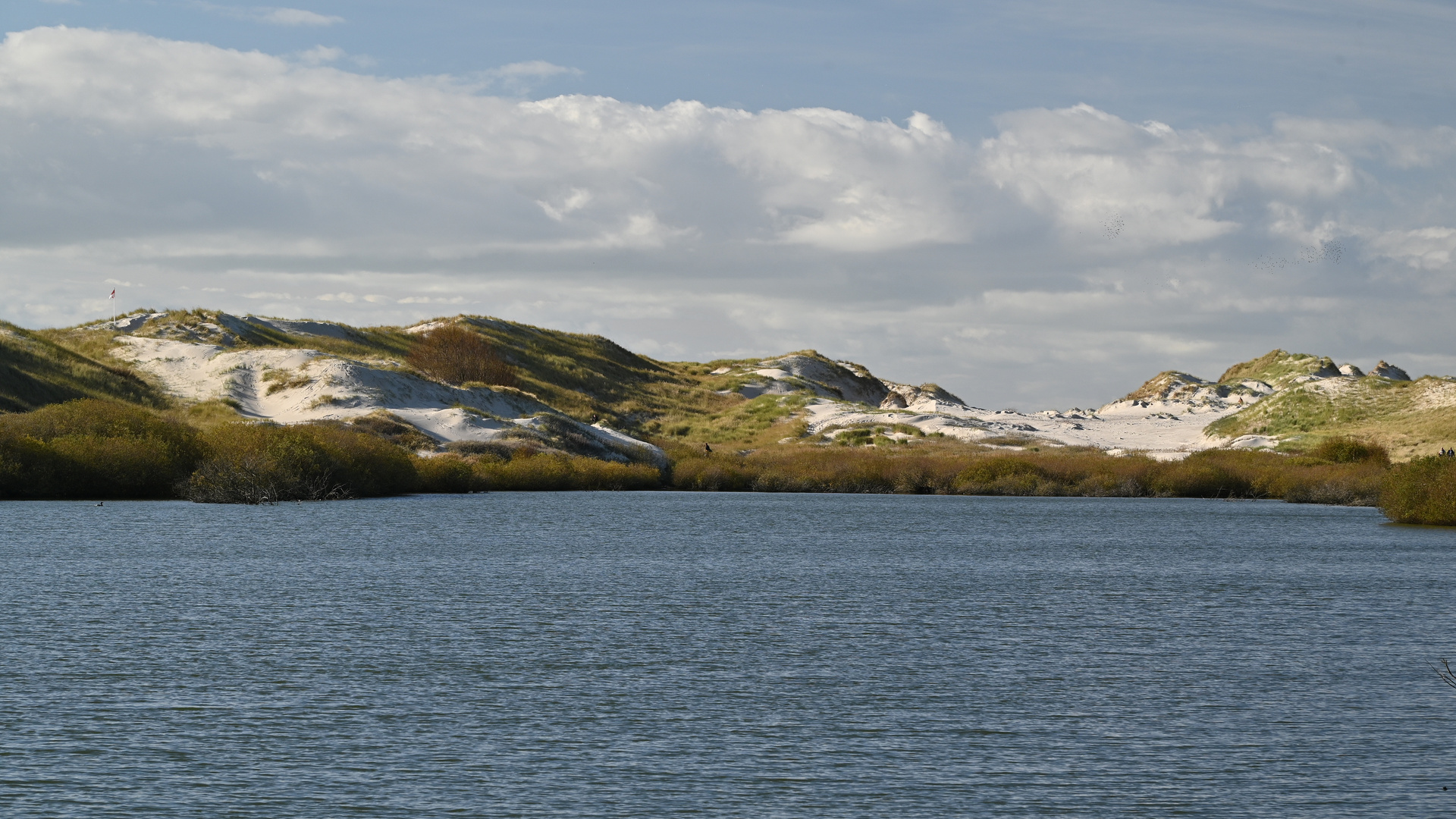 Amrum