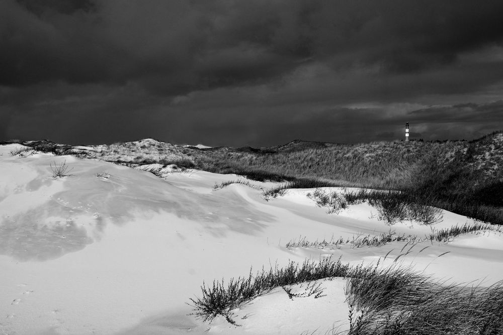 Amrum