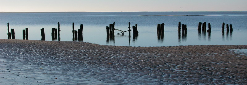 Amrum